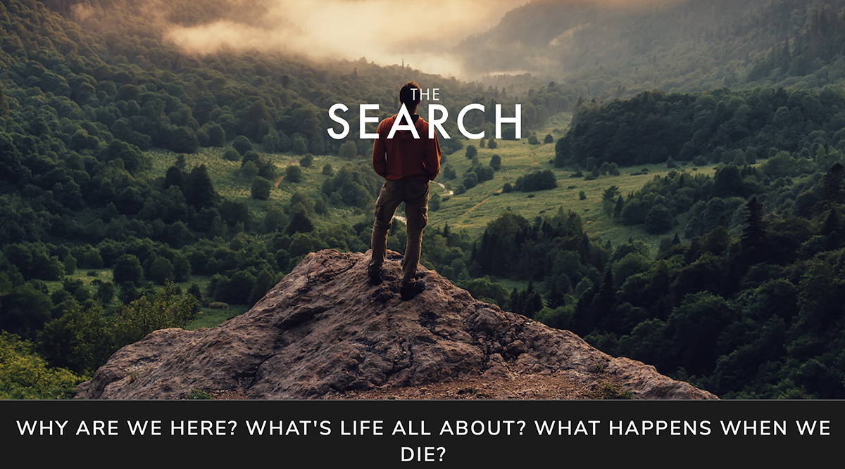 thesearchlogopx1200